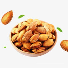 High quality low price top grade almond nuts Kernel